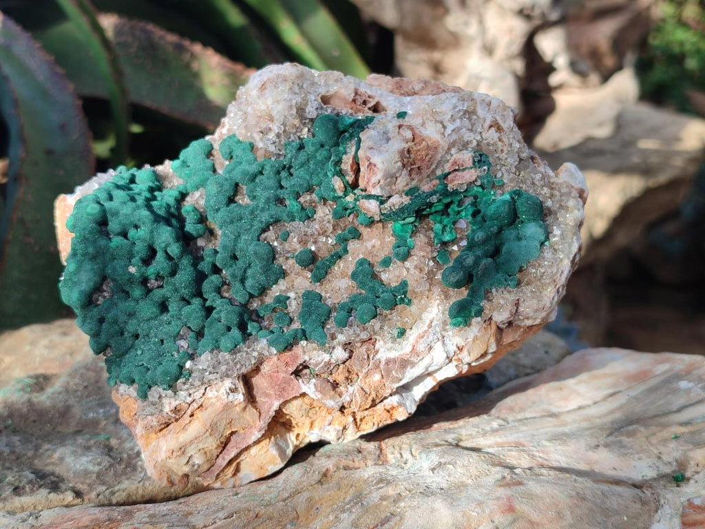 Natural Large Crystalline Ball Malachite and Quartz on Dolomite Matrix x 1 From Mindingi Mine, Kambove, Congo - Toprock Gemstones and Minerals 