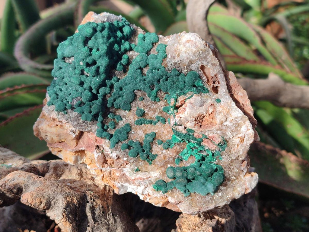 Natural Large Crystalline Ball Malachite and Quartz on Dolomite Matrix x 1 From Mindingi Mine, Kambove, Congo - Toprock Gemstones and Minerals 