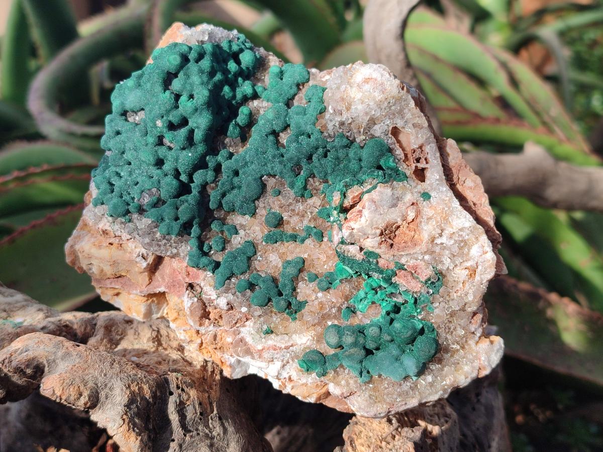 Natural Large Crystalline Ball Malachite and Quartz on Dolomite Matrix x 1 From Mindingi Mine, Kambove, Congo - Toprock Gemstones and Minerals 