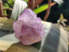 Natural Cactus Flower Sunburst Spirit Amethyst Clusters x 12 From South Africa - Toprock Gemstones and Minerals 