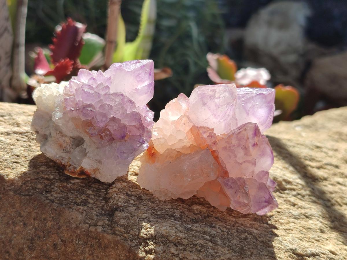 Natural Cactus Flower Sunburst Spirit Amethyst Clusters x 12 From South Africa - Toprock Gemstones and Minerals 