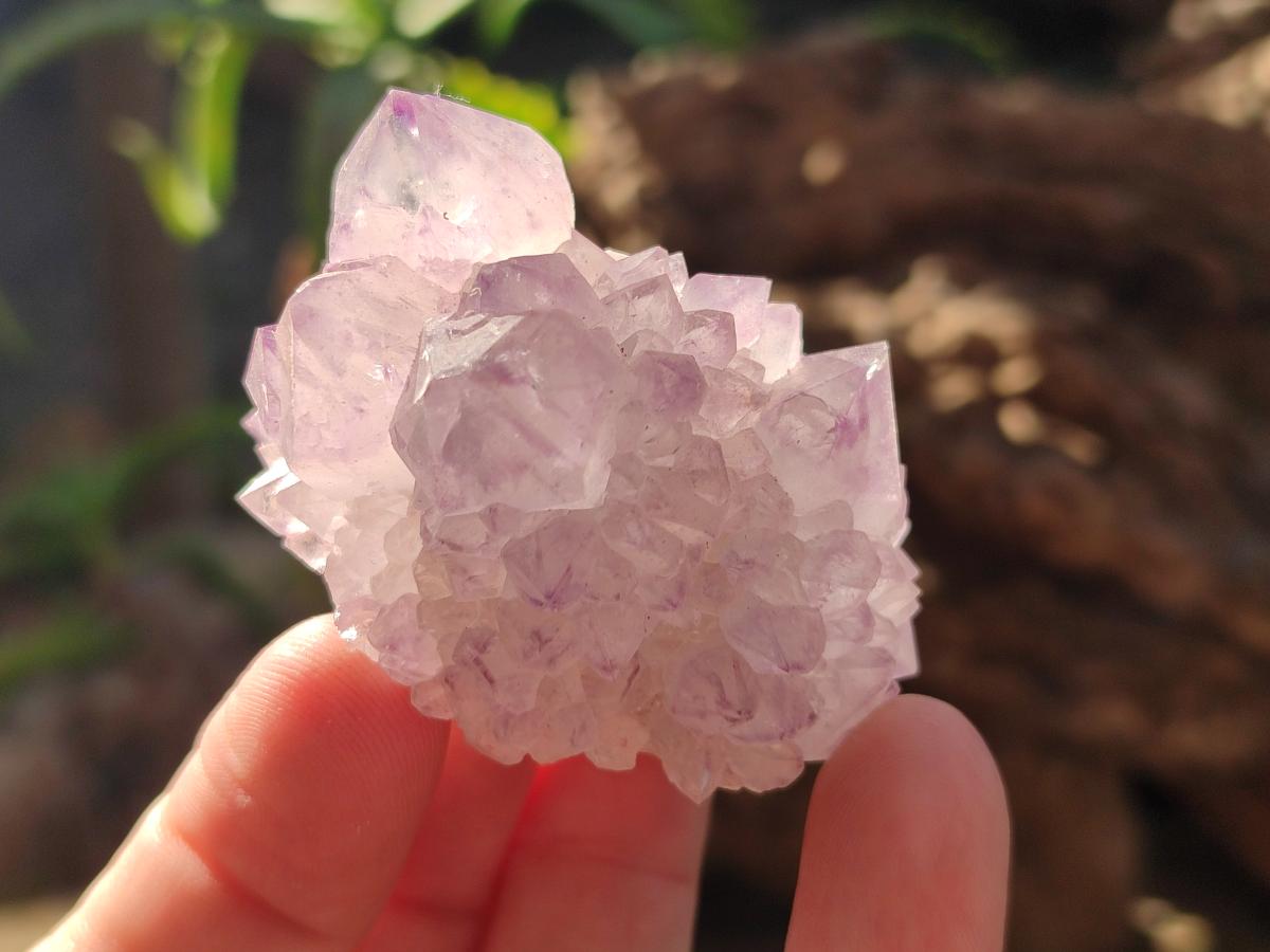 Natural Cactus Flower Sunburst Spirit Amethyst Clusters x 12 From South Africa - Toprock Gemstones and Minerals 