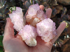 Natural Cactus Flower Sunburst Spirit Amethyst Clusters x 12 From South Africa - Toprock Gemstones and Minerals 