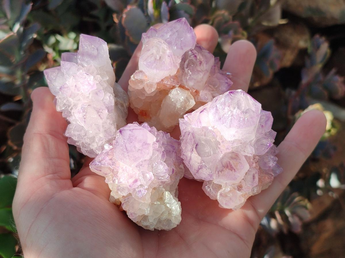 Natural Cactus Flower Sunburst Spirit Amethyst Clusters x 12 From South Africa - Toprock Gemstones and Minerals 