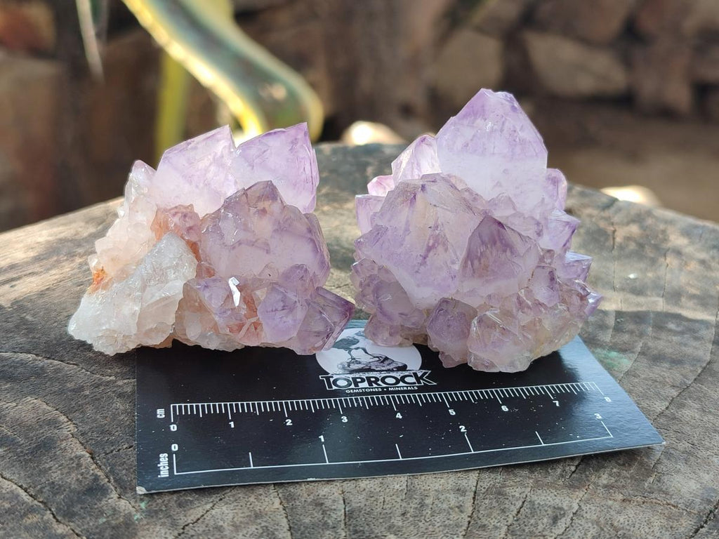 Natural Cactus Flower Sunburst Spirit Amethyst Clusters x 12 From South Africa - Toprock Gemstones and Minerals 