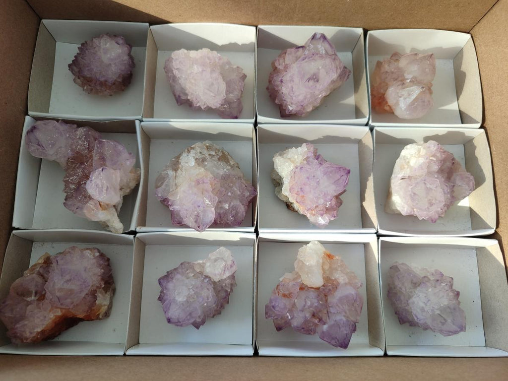 Natural Cactus Flower Sunburst Spirit Amethyst Clusters x 12 From South Africa - Toprock Gemstones and Minerals 