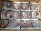 Natural Cactus Flower Sunburst Spirit Amethyst Clusters x 12 From South Africa - Toprock Gemstones and Minerals 