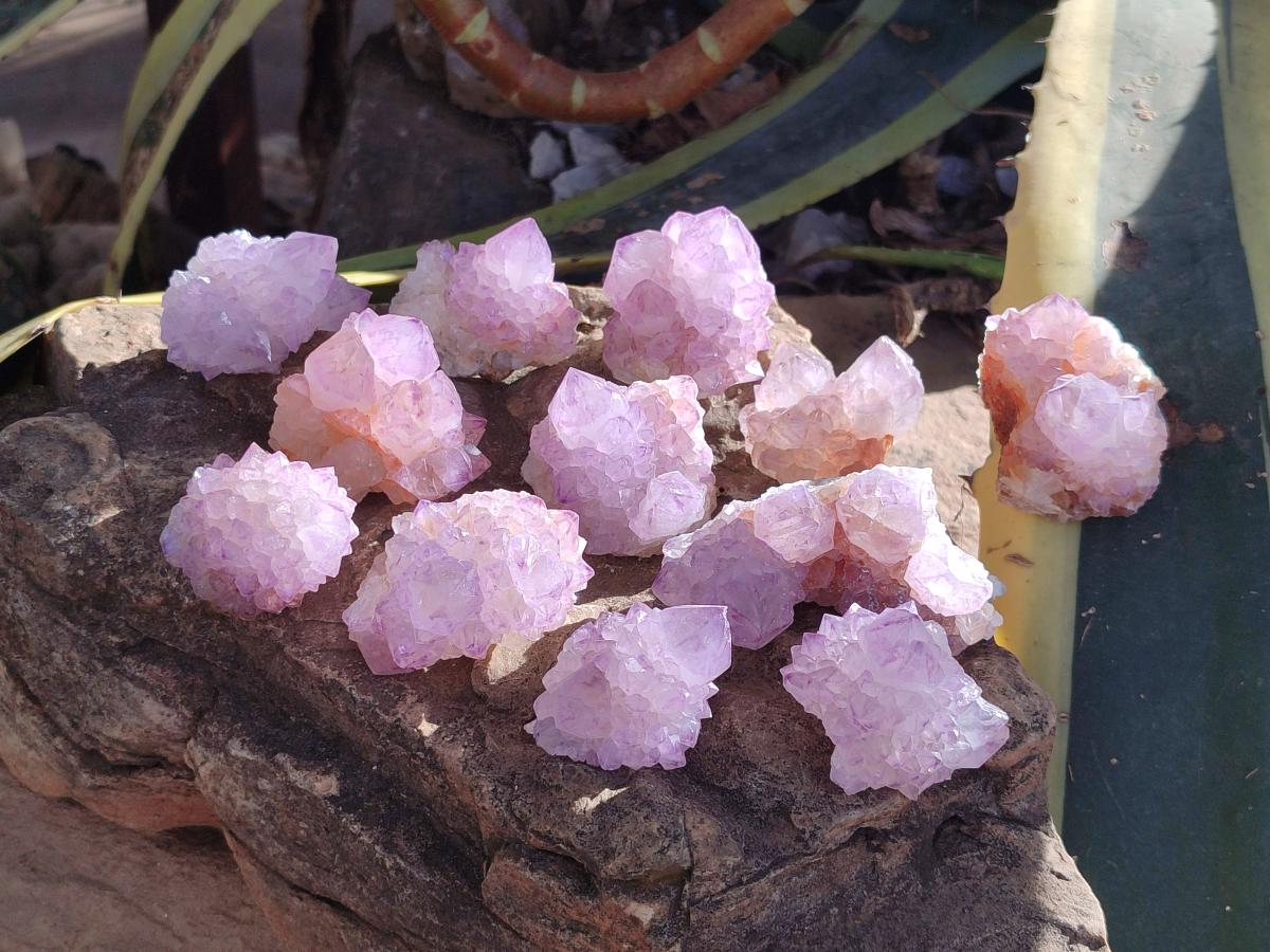Natural Cactus Flower Sunburst Spirit Amethyst Clusters x 12 From South Africa - Toprock Gemstones and Minerals 