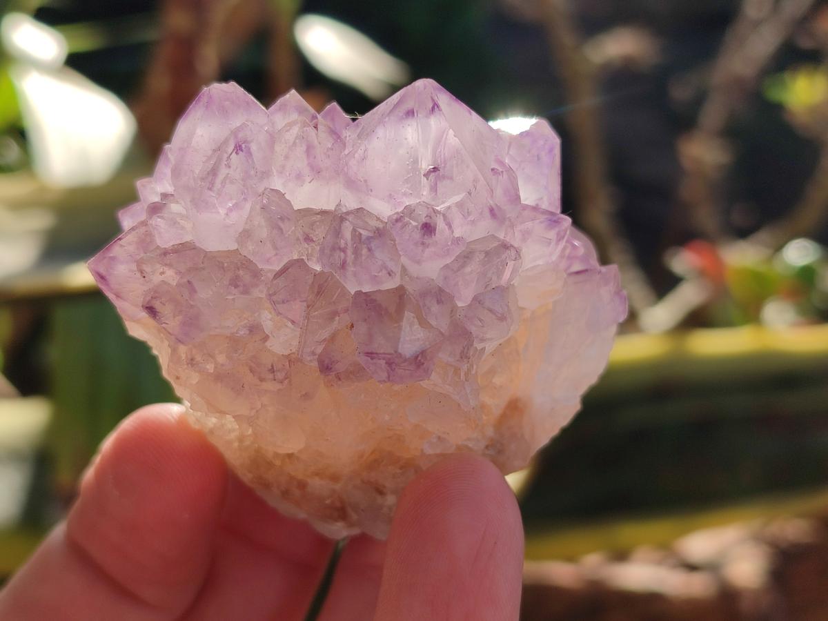 Natural Cactus Flower Sunburst Spirit Amethyst Clusters x 12 From South Africa - Toprock Gemstones and Minerals 