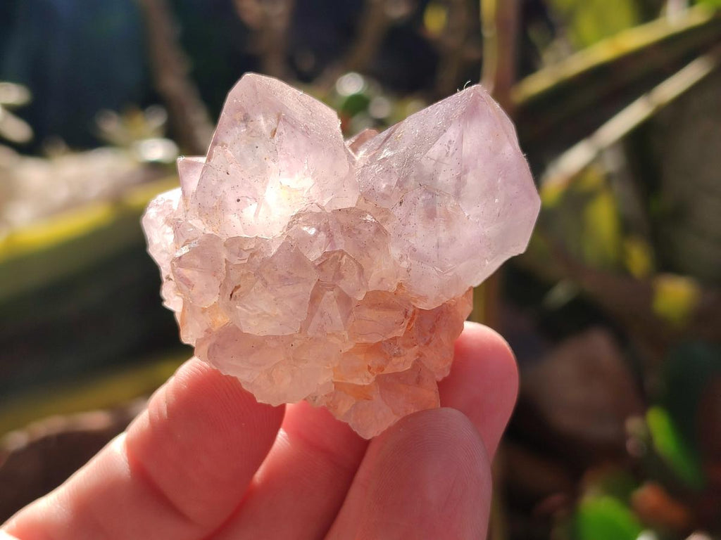 Natural Cactus Flower Sunburst Spirit Amethyst Clusters x 12 From South Africa - Toprock Gemstones and Minerals 