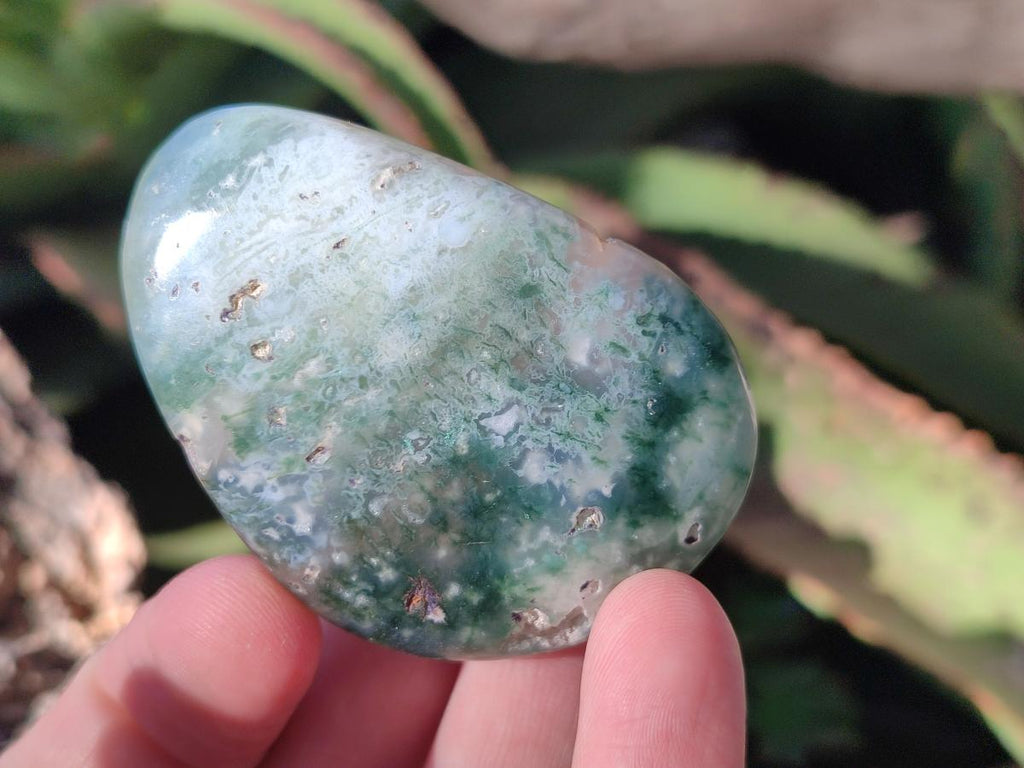 Polished Mtorolite Free Forms x 12 From Mutorashanga, Zimbabwe - Toprock Gemstones and Minerals 