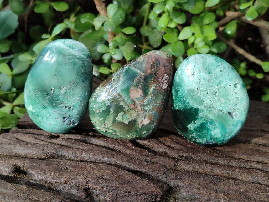 Polished Mtorolite Free Forms x 12 From Mutorashanga, Zimbabwe - Toprock Gemstones and Minerals 