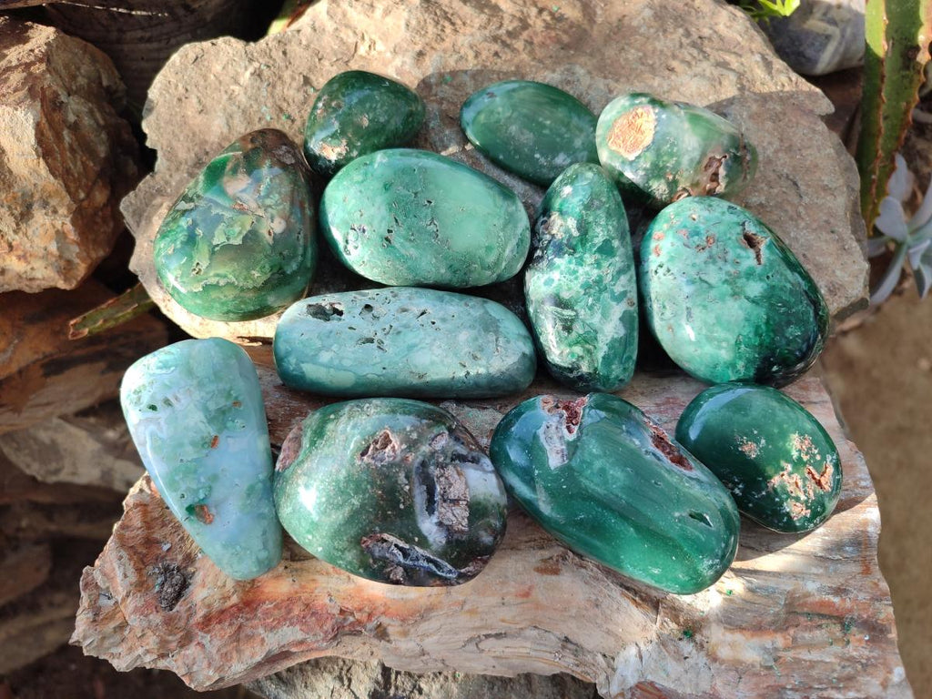 Polished Mtorolite Free Forms x 12 From Mutorashanga, Zimbabwe - Toprock Gemstones and Minerals 