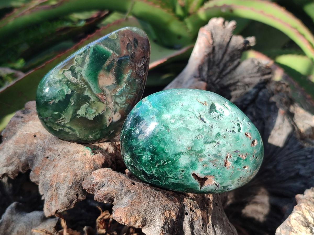 Polished Mtorolite Free Forms x 12 From Mutorashanga, Zimbabwe - Toprock Gemstones and Minerals 