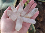 Natural Malagasy Clear Quartz Crystals x 48 From Madagascar - Toprock Gemstones and Minerals 