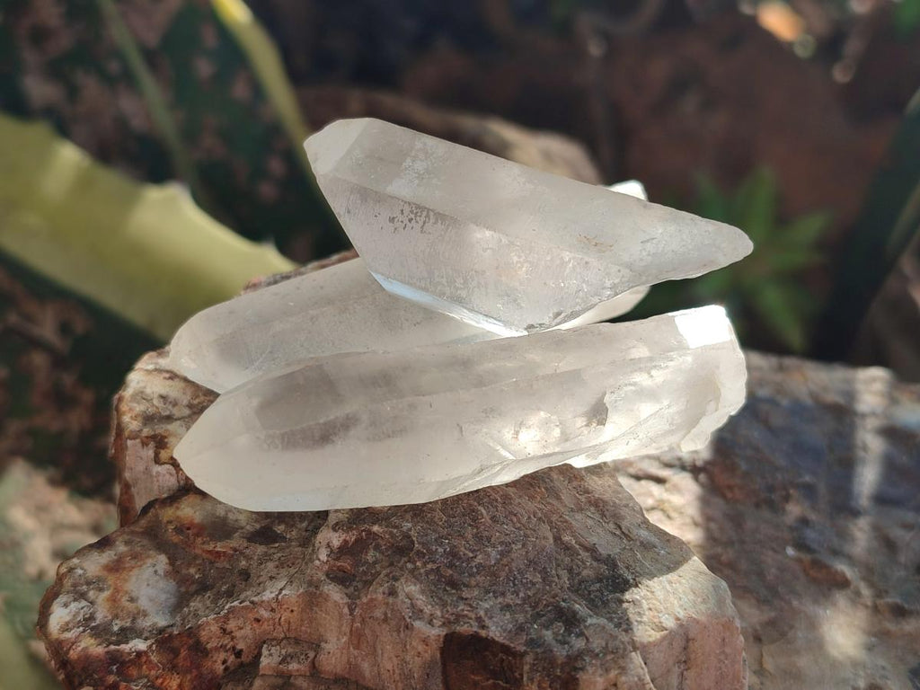 Natural Malagasy Clear Quartz Crystals x 48 From Madagascar - Toprock Gemstones and Minerals 