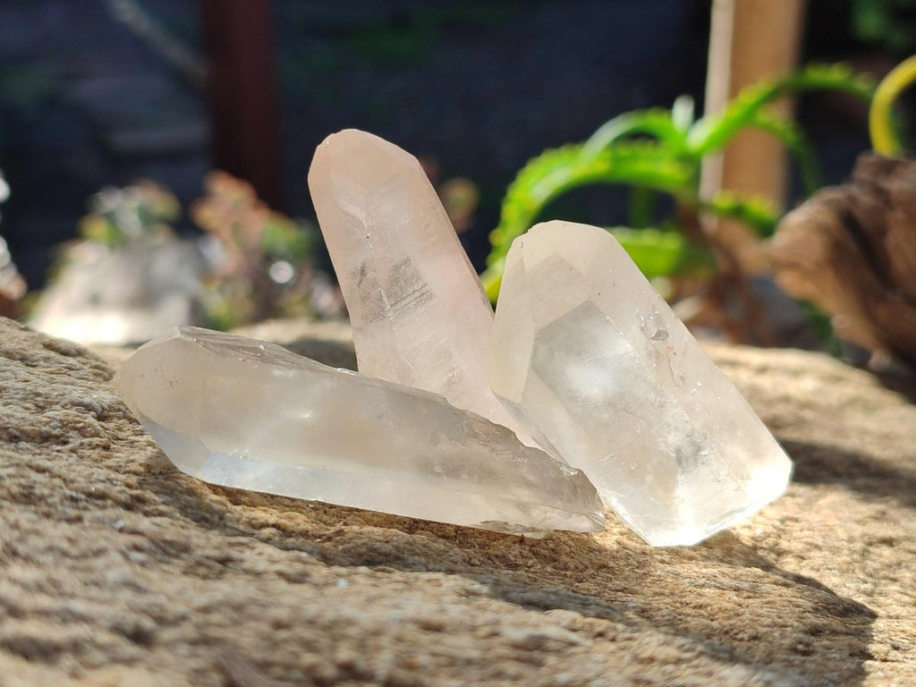 Natural Malagasy Clear Quartz Crystals x 48 From Madagascar - Toprock Gemstones and Minerals 