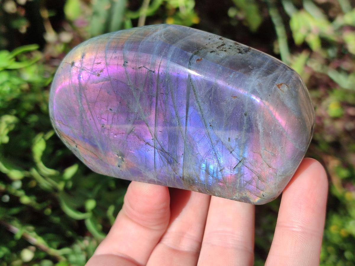 Polished Rare Purple Sunset Flash Labradorite Standing Display Pieces x 12 From Madagascar