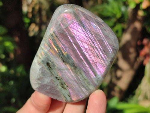 Polished Rare Purple Sunset Flash Labradorite Standing Display Pieces x 12 From Madagascar