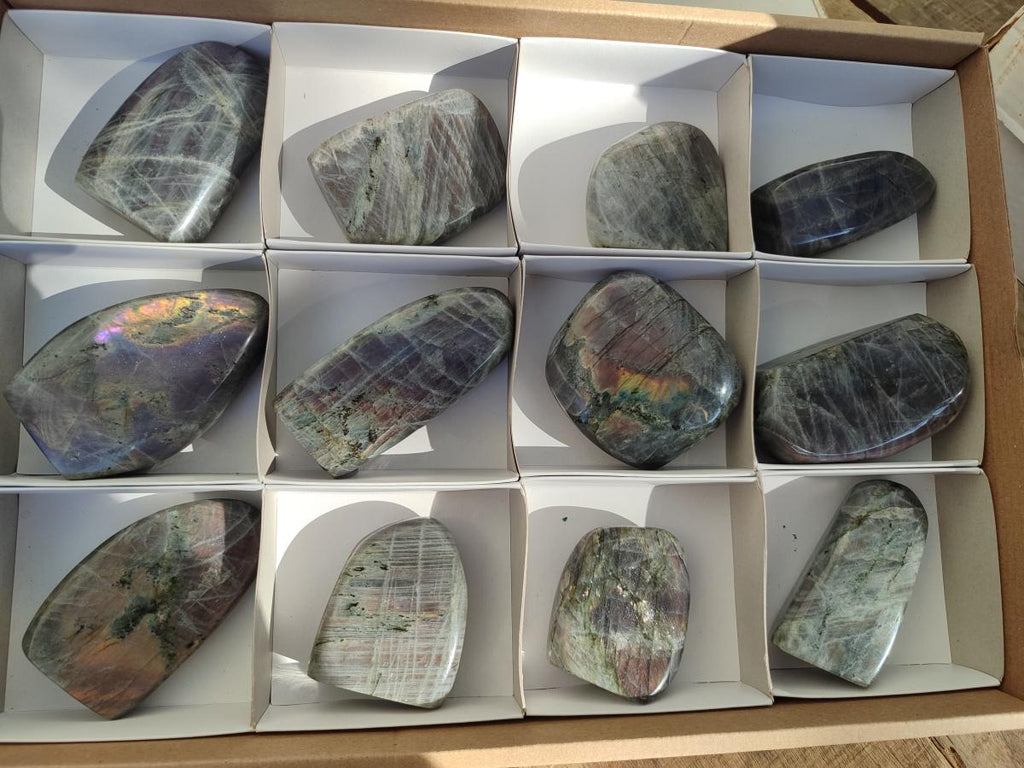 Polished Rare Purple Sunset Flash Labradorite Standing Display Pieces x 12 From Madagascar - Toprock Gemstones and Minerals 