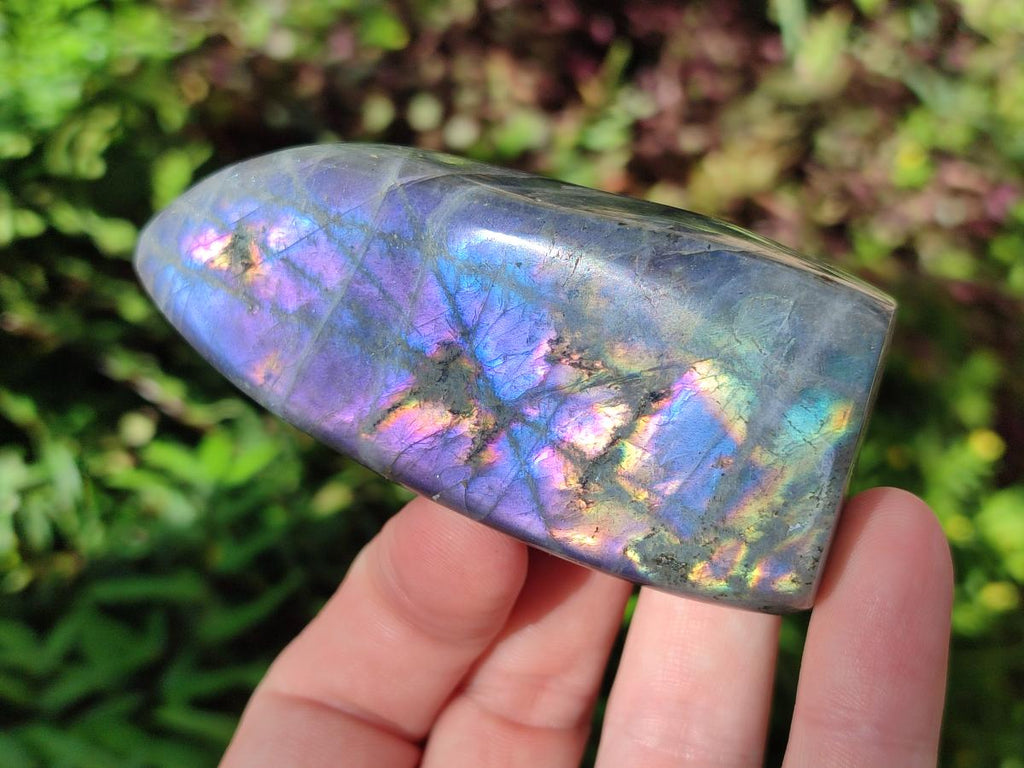 Polished Rare Purple Sunset Flash Labradorite Standing Display Pieces x 12 From Madagascar - Toprock Gemstones and Minerals 