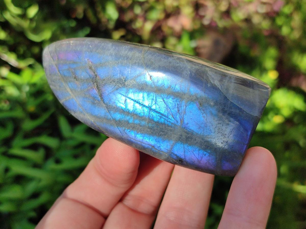 Polished Rare Purple Sunset Flash Labradorite Standing Display Pieces x 12 From Madagascar - Toprock Gemstones and Minerals 