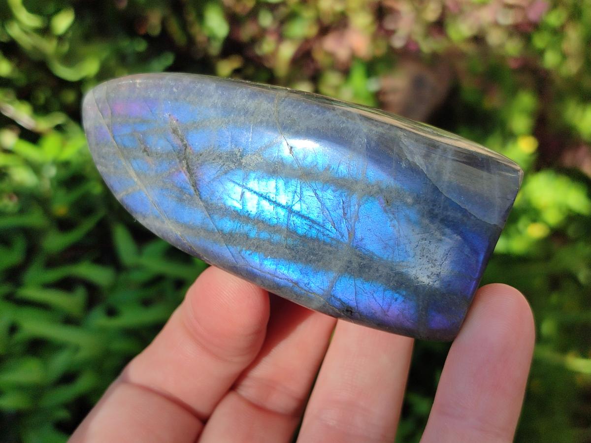 Polished Rare Purple Sunset Flash Labradorite Standing Display Pieces x 12 From Madagascar - Toprock Gemstones and Minerals 