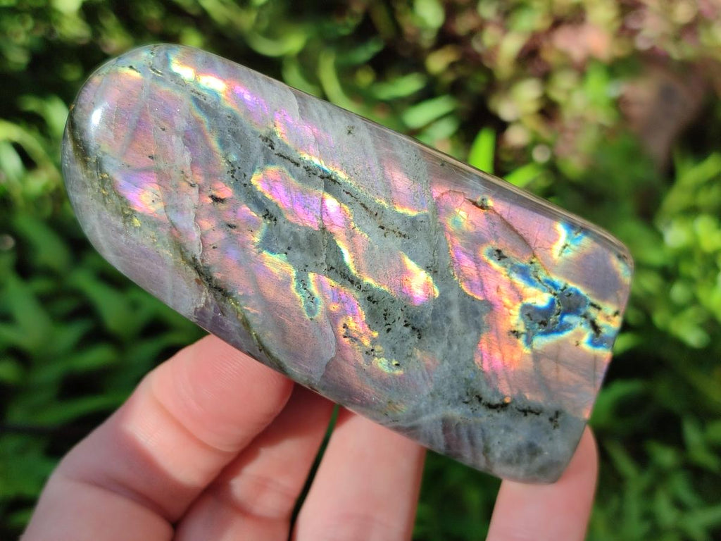 Polished Rare Purple Sunset Flash Labradorite Standing Display Pieces x 12 From Madagascar - Toprock Gemstones and Minerals 