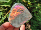 Polished Rare Purple Sunset Flash Labradorite Standing Display Pieces x 12 From Madagascar - Toprock Gemstones and Minerals 