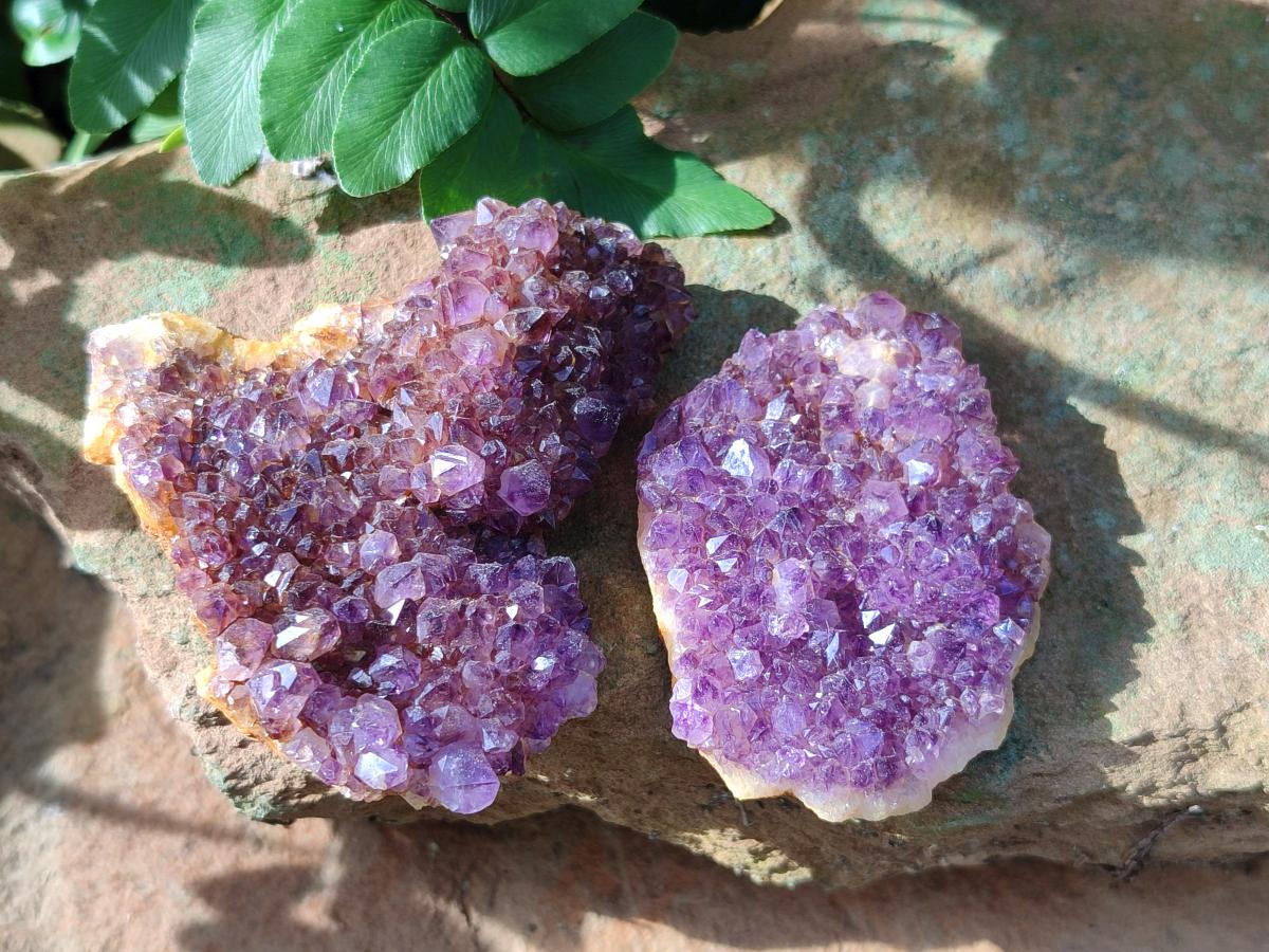 Natural Dark Purple Amethyst Cluster Plates x 18 From Boekenhouthoek, South Africa