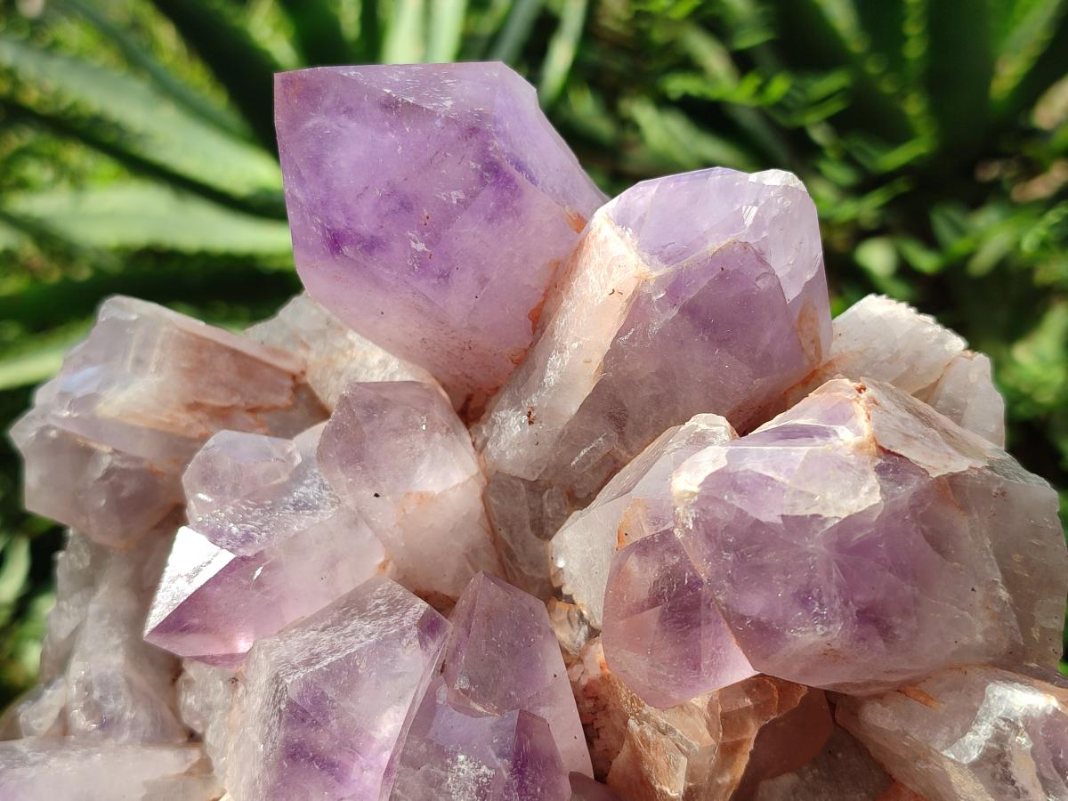 Natural Jacaranda Amethyst Crystal Clusters x 2 From Mumbwa, Zambia - Toprock Gemstones and Minerals 