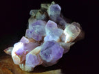Natural Jacaranda Amethyst Crystal Clusters x 2 From Mumbwa, Zambia - Toprock Gemstones and Minerals 