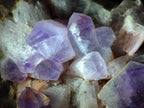Natural Jacaranda Amethyst Crystal Clusters x 2 From Mumbwa, Zambia - Toprock Gemstones and Minerals 