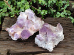 Natural Jacaranda Amethyst Crystal Clusters x 2 From Mumbwa, Zambia - Toprock Gemstones and Minerals 