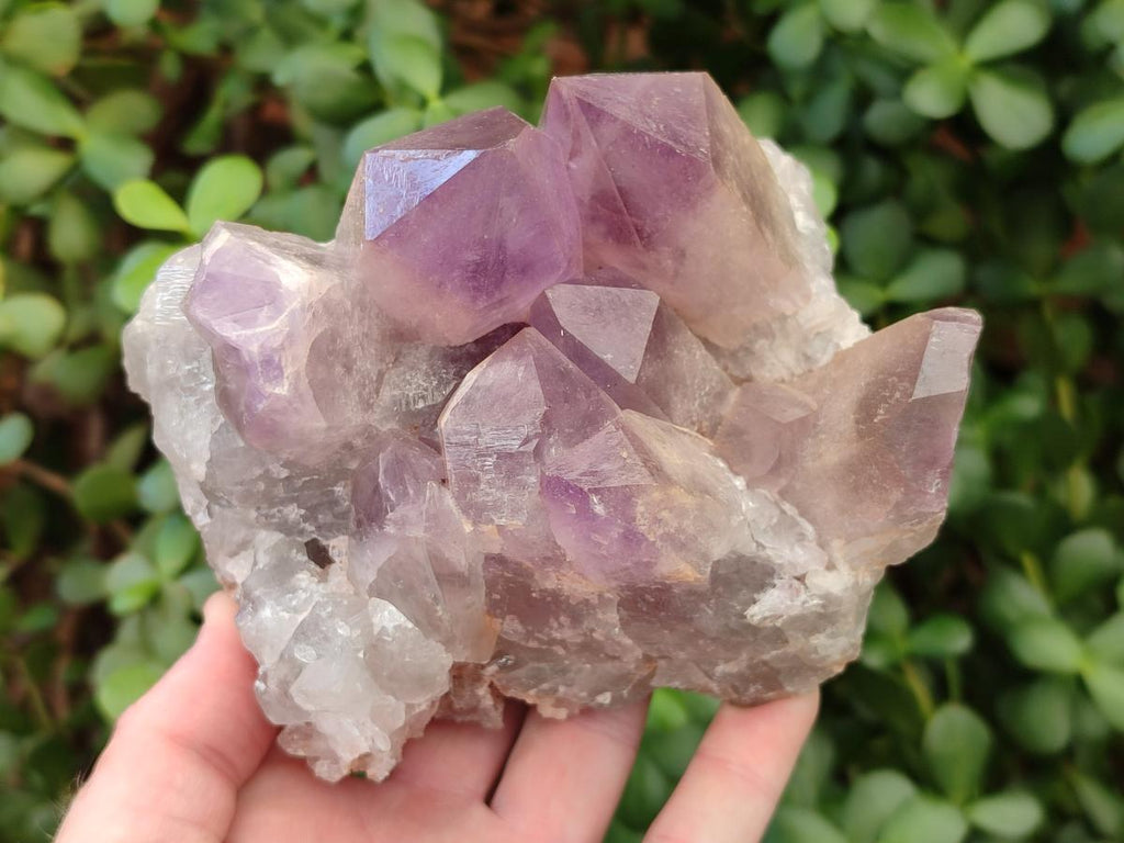 Natural Jacaranda Amethyst Crystal Clusters x 2 From Mumbwa, Zambia - Toprock Gemstones and Minerals 
