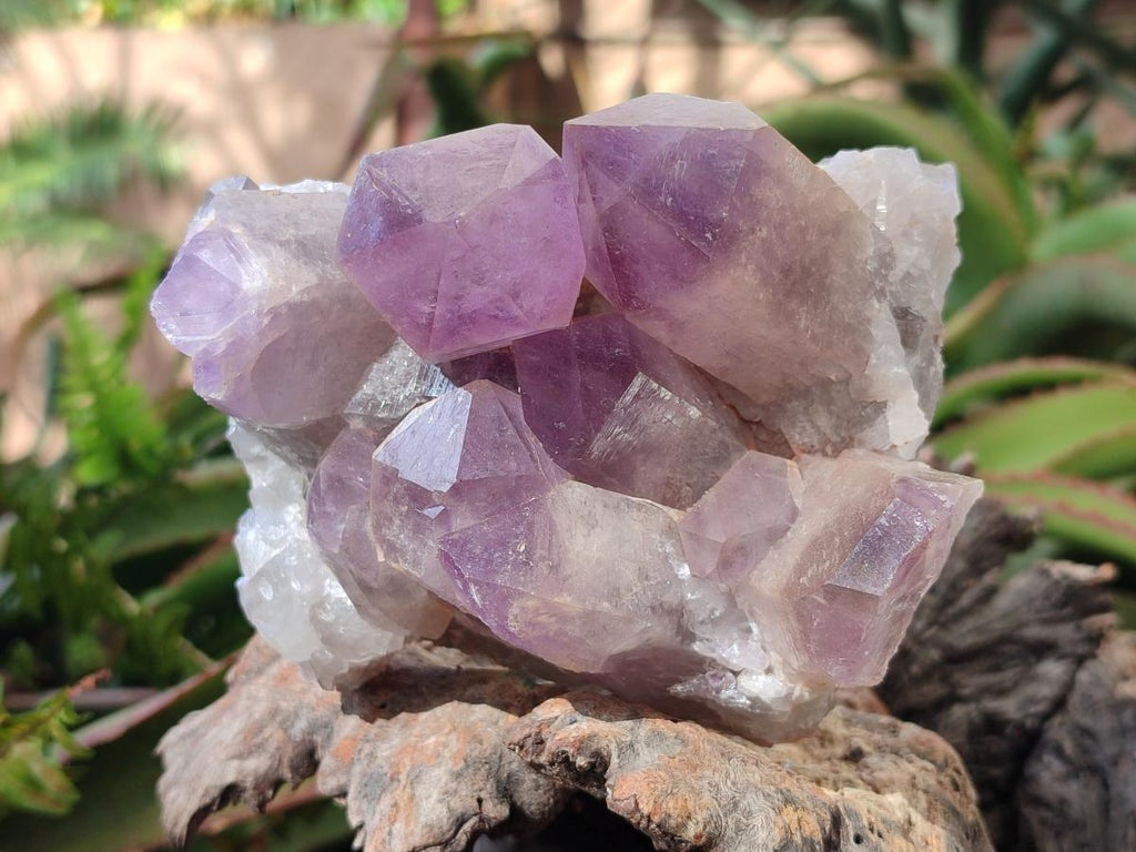 Natural Jacaranda Amethyst Crystal Clusters x 2 From Mumbwa, Zambia - Toprock Gemstones and Minerals 