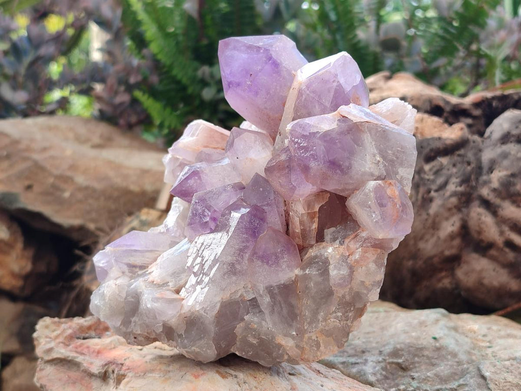 Natural Jacaranda Amethyst Crystal Clusters x 2 From Mumbwa, Zambia - Toprock Gemstones and Minerals 