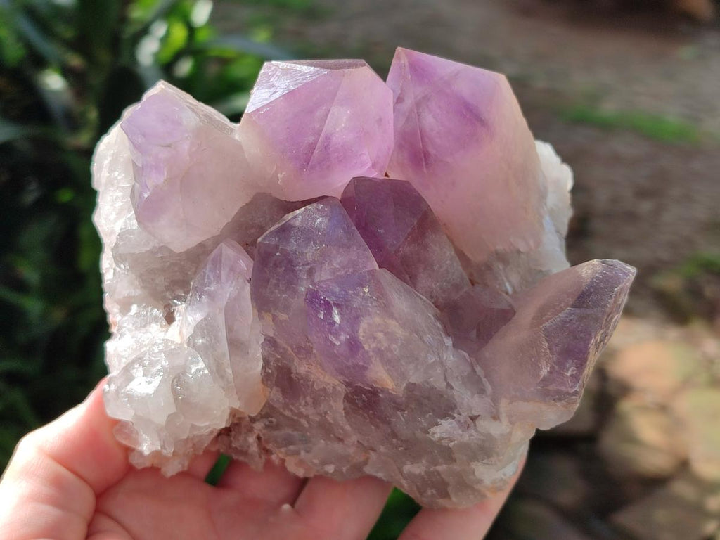 Natural Jacaranda Amethyst Crystal Clusters x 2 From Mumbwa, Zambia - Toprock Gemstones and Minerals 