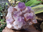 Natural Jacaranda Amethyst Crystal Clusters x 2 From Mumbwa, Zambia - Toprock Gemstones and Minerals 