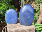 Polished Lazulite Standing Free Forms x 2 From Madagascar - Toprock Gemstones and Minerals 