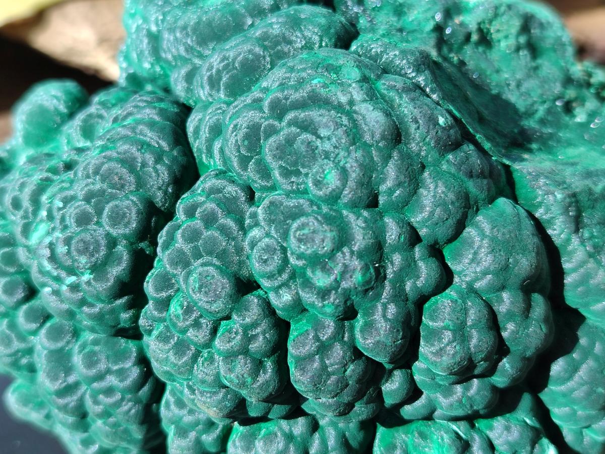 Natural Botryoidal Malachite Specimens x 2 From Congo