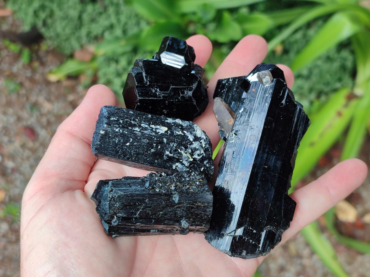 Natural Schorl Black Tourmaline with Associated Minerals x 12 From Erongo, Namibia - Toprock Gemstones and Minerals 