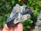 Natural Schorl Black Tourmaline with Associated Minerals x 12 From Erongo, Namibia - Toprock Gemstones and Minerals 