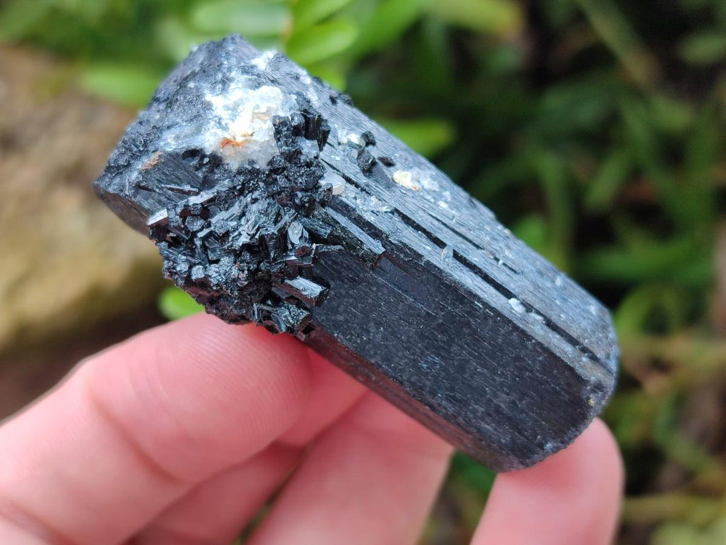 Natural Schorl Black Tourmaline with Associated Minerals x 12 From Erongo, Namibia - Toprock Gemstones and Minerals 
