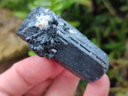 Natural Schorl Black Tourmaline with Associated Minerals x 12 From Erongo, Namibia - Toprock Gemstones and Minerals 