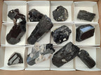 Natural Schorl Black Tourmaline with Associated Minerals x 12 From Erongo, Namibia - Toprock Gemstones and Minerals 