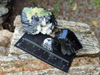 Natural Schorl Black Tourmaline with Associated Minerals x 12 From Erongo, Namibia - Toprock Gemstones and Minerals 