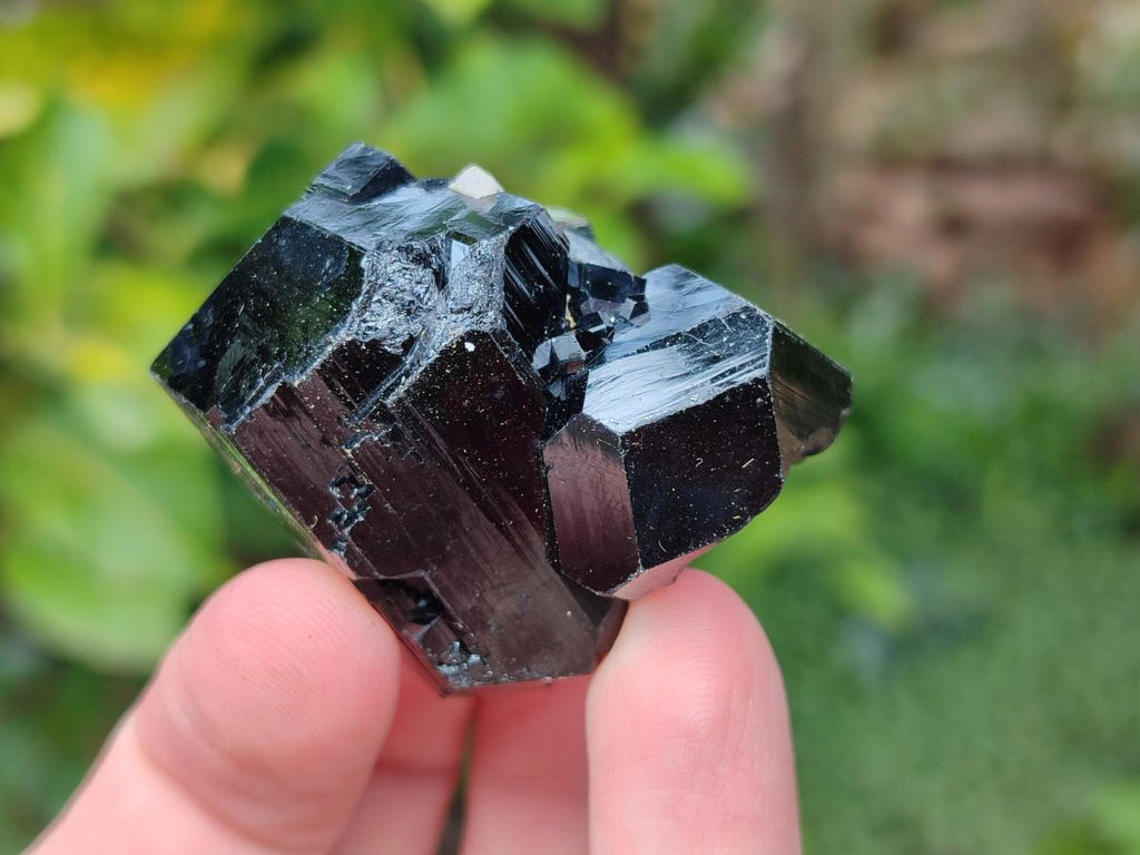 Natural Schorl Black Tourmaline with Associated Minerals x 12 From Erongo, Namibia - Toprock Gemstones and Minerals 