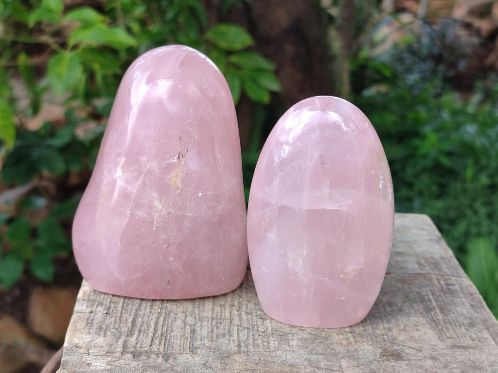 Polished Gemmy Rose Quartz Standing Display Pieces x 2 From Madagascar - Toprock Gemstones and Minerals 
