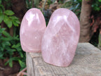 Polished Gemmy Rose Quartz Standing Display Pieces x 2 From Madagascar - Toprock Gemstones and Minerals 